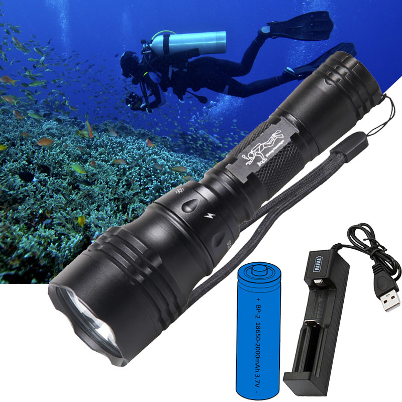Fish Finder Charger - Dalış Lambası Taşınabilir 10W T6 L2